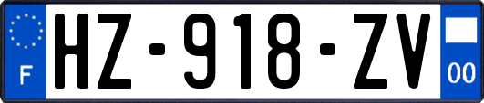 HZ-918-ZV