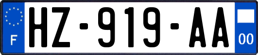 HZ-919-AA