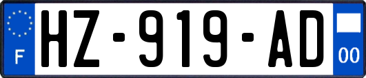 HZ-919-AD