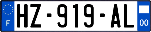 HZ-919-AL