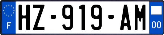 HZ-919-AM