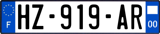 HZ-919-AR