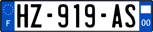HZ-919-AS