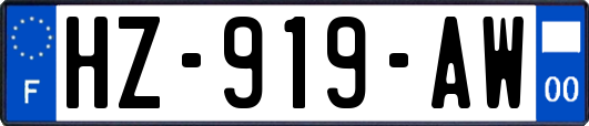 HZ-919-AW
