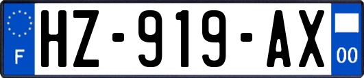 HZ-919-AX