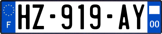 HZ-919-AY