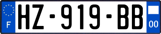HZ-919-BB
