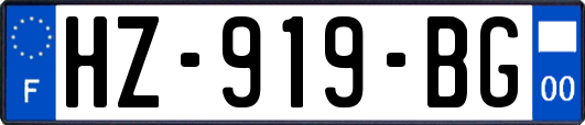 HZ-919-BG