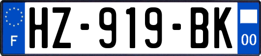 HZ-919-BK