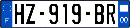 HZ-919-BR