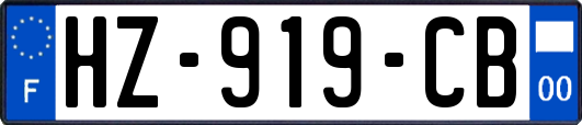 HZ-919-CB