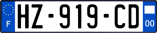 HZ-919-CD