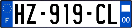 HZ-919-CL