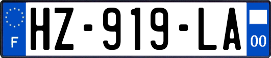 HZ-919-LA