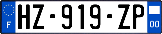 HZ-919-ZP