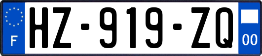 HZ-919-ZQ