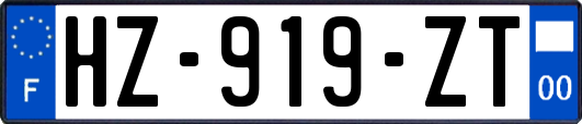 HZ-919-ZT