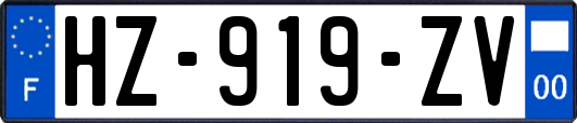 HZ-919-ZV