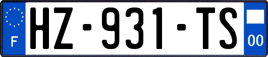 HZ-931-TS