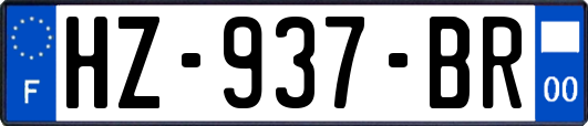 HZ-937-BR