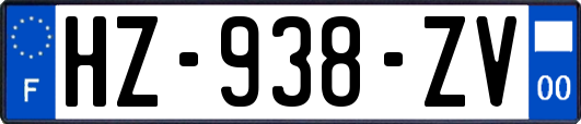 HZ-938-ZV