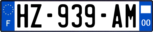 HZ-939-AM