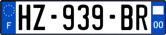 HZ-939-BR
