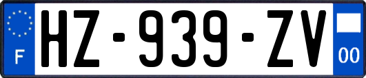 HZ-939-ZV