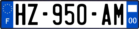 HZ-950-AM