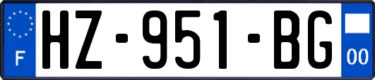 HZ-951-BG
