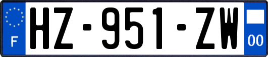 HZ-951-ZW