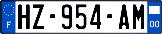HZ-954-AM