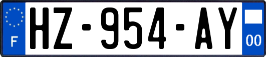 HZ-954-AY