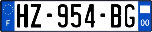HZ-954-BG