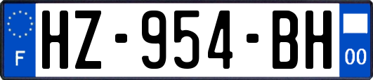 HZ-954-BH