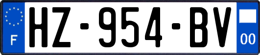 HZ-954-BV