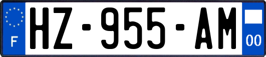 HZ-955-AM