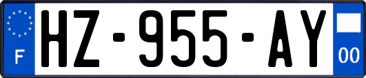 HZ-955-AY