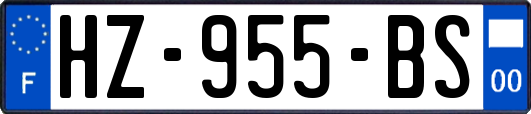 HZ-955-BS