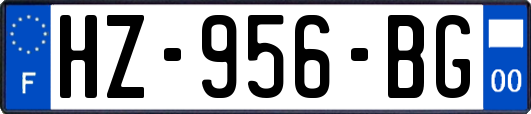 HZ-956-BG