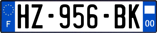HZ-956-BK