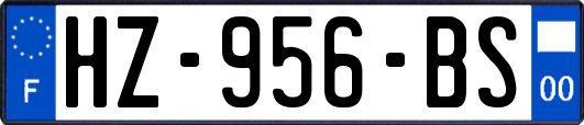 HZ-956-BS