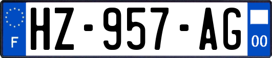 HZ-957-AG