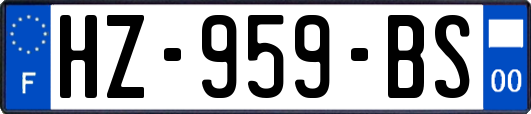 HZ-959-BS