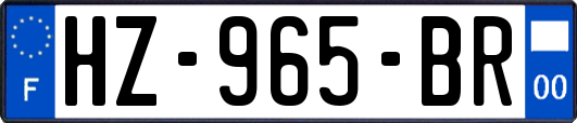 HZ-965-BR