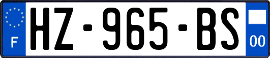 HZ-965-BS