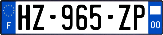 HZ-965-ZP