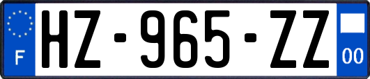 HZ-965-ZZ