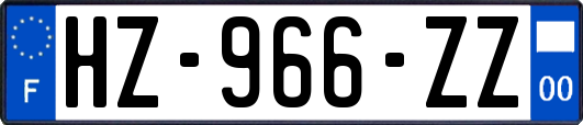 HZ-966-ZZ