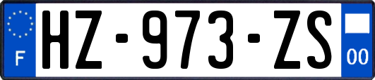 HZ-973-ZS